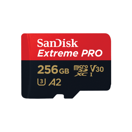 Extreme Pro 256GB